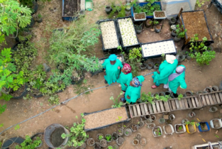 les objectifs - A propos de REVACS (Réseau des valeurs culturelles solidaires) - les femmes du jardin