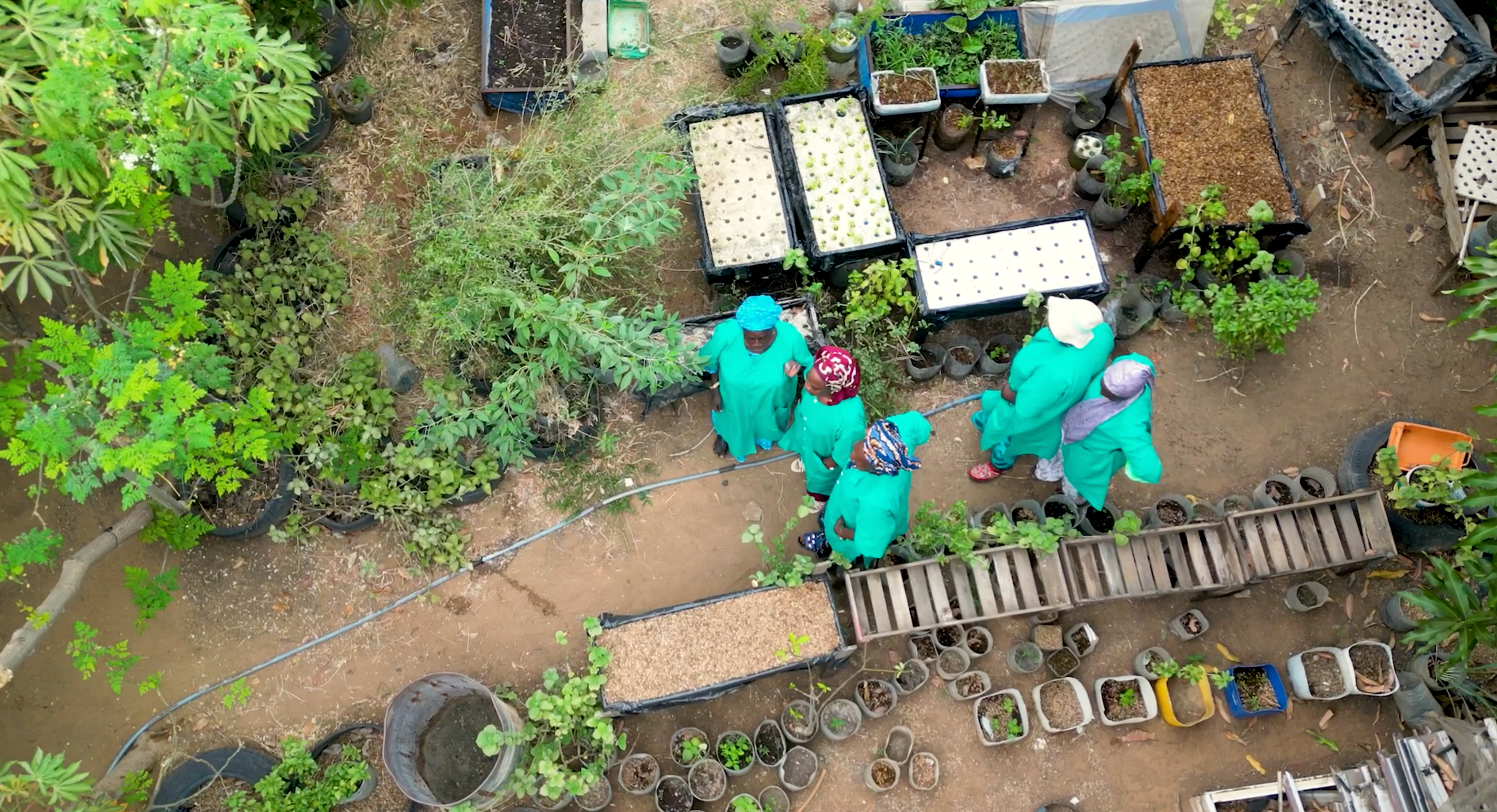 les objectifs - A propos de REVACS (Réseau des valeurs culturelles solidaires) - les femmes du jardin